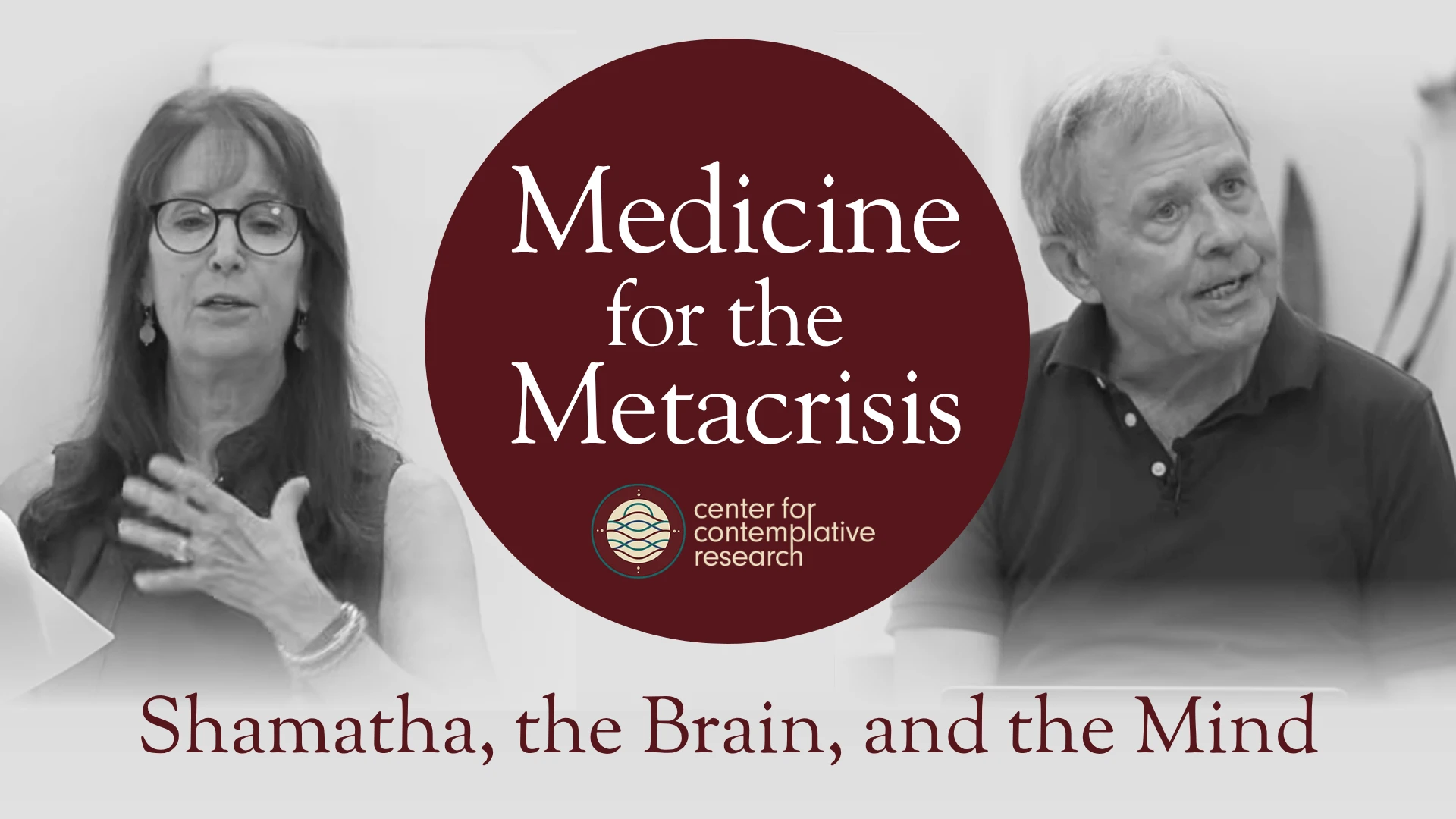 Medicine For The Metacrisis